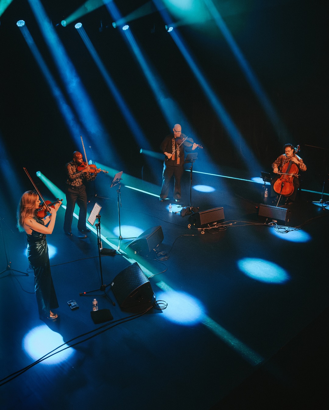 Vitamin String Quartet